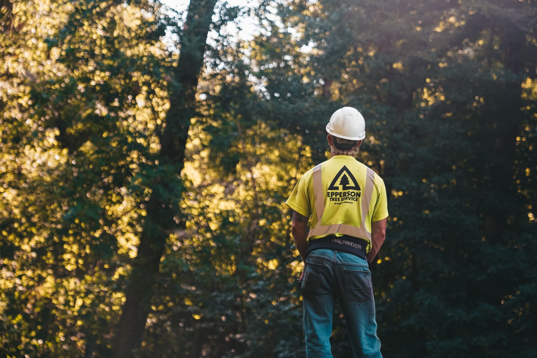 Tree Removal – Bulverde