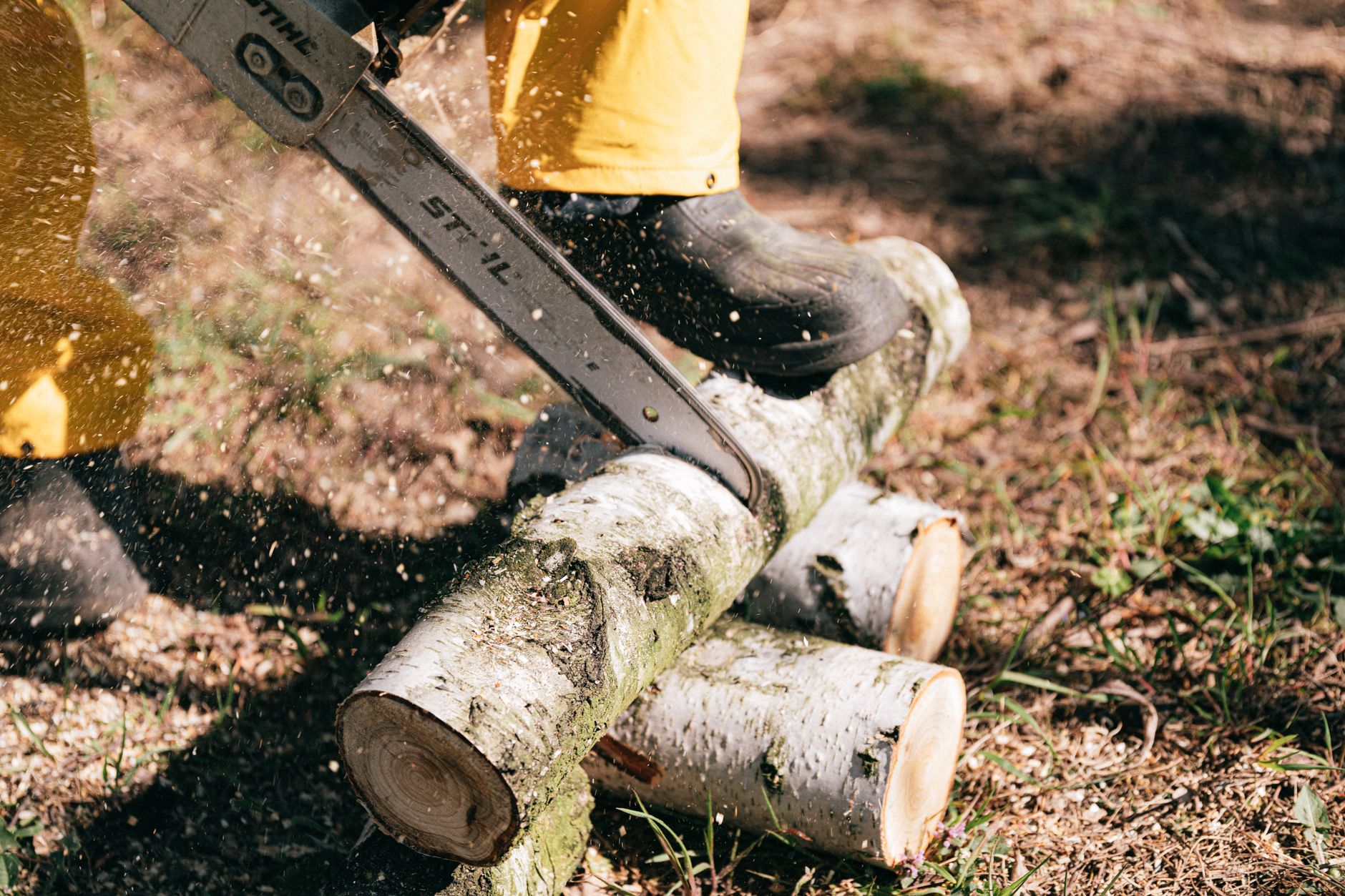 Crown Trimming – Bulverde