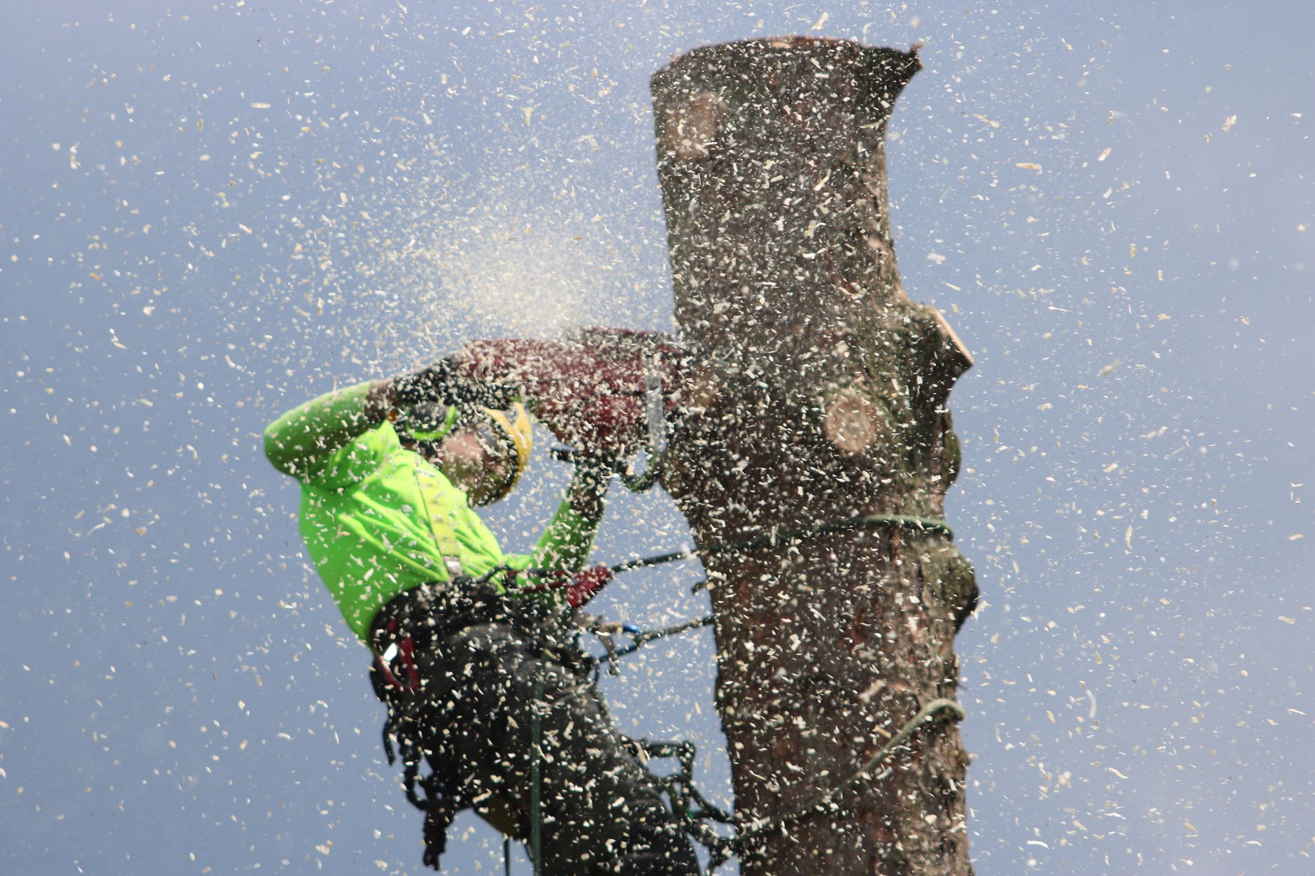 Storm Clean-Up – Bulverde